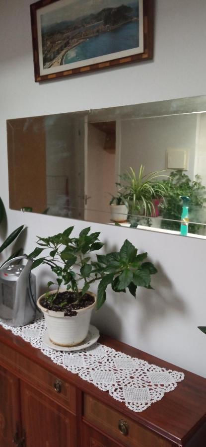 Apartament Atico La Guardia Zewnętrze zdjęcie