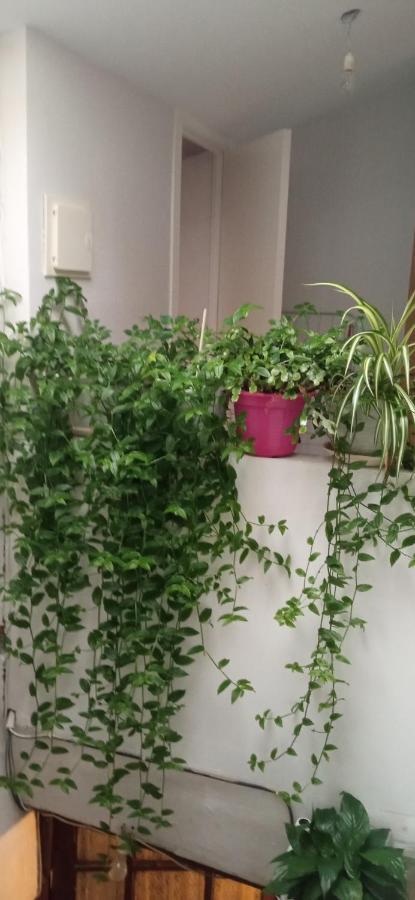 Apartament Atico La Guardia Zewnętrze zdjęcie